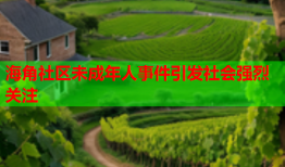 海角社区未成年人事件引发社会强烈关注