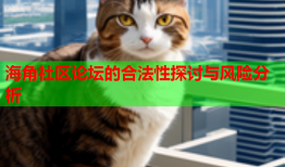 海角社区论坛的合法性探讨与风险分析