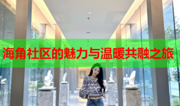海角社区的魅力与温暖共融之旅