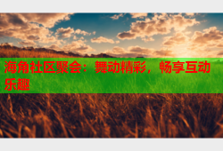 海角社区聚会：舞动精彩，畅享互动乐趣